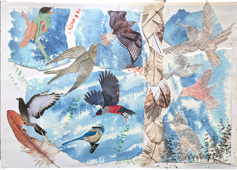 Judith Noble